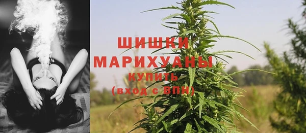 ECSTASY Корсаков