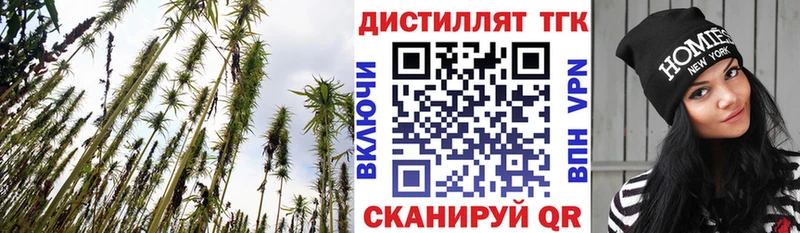 Дистиллят ТГК Wax Гудермес
