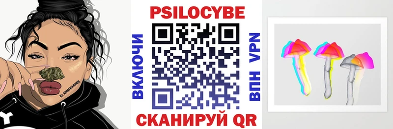 Купить закладки  Гудермес  Галлюциногенные грибы Psilocybe 